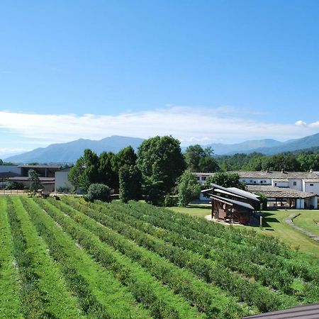 Agriturismo Il Frutto Permesso Bibiana Exterior foto